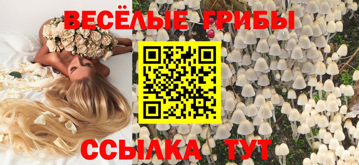 Галлюциногенные грибы прущие грибы  Псилоцибиновые грибы GOLDEN TEACHER  Вход с VPN  Сочи 