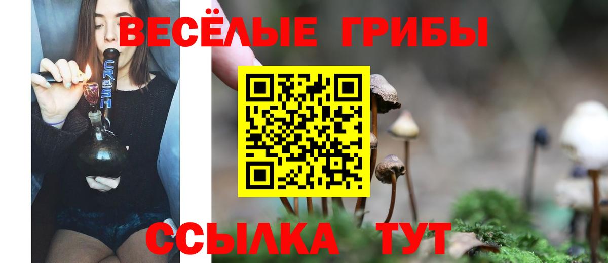 Галлюциногенные грибы мицелий Сочи
